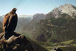 Das Adlergehege am Obersalzberg